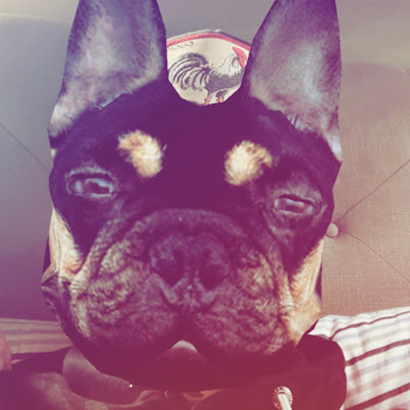 Meet your Posher, Robert - Picture 1 of 1